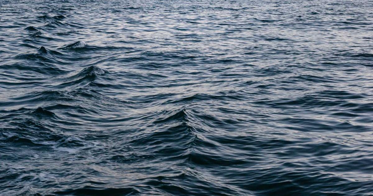 Facebook翻译助力企业跨境沟通：Windows客户端下载指南