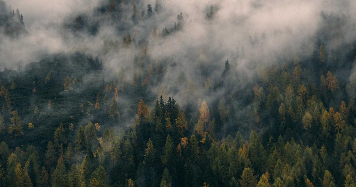 WhatsApp翻译助力跨境聊天翻译：Windows 客户端下载价值解析