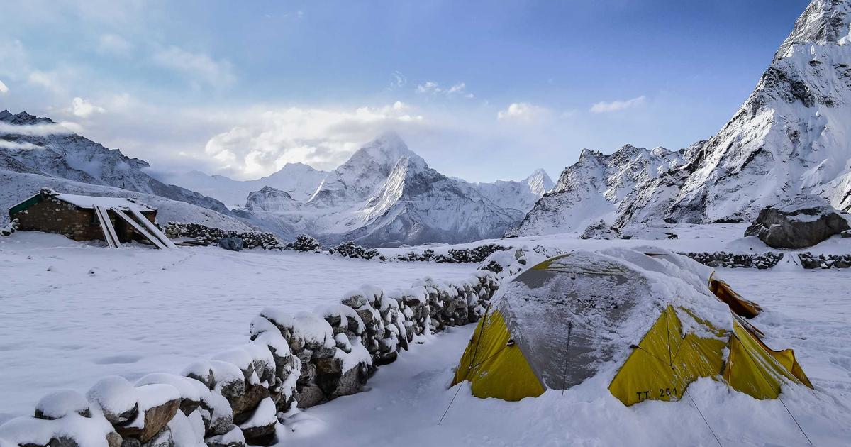 Line翻译助力高效办公——探索HelloWord官网Windows客户端下载价值